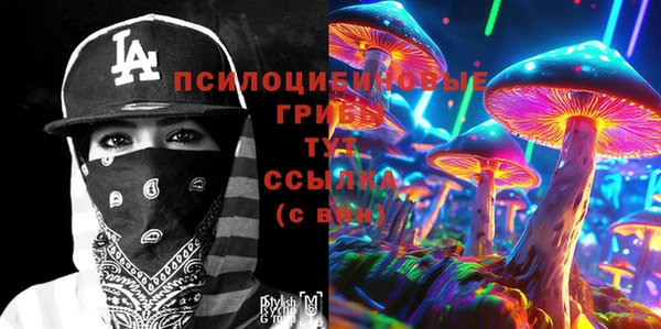 стафф Аркадак