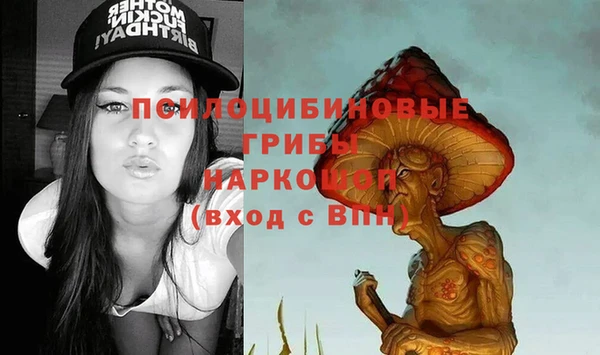 стафф Аркадак